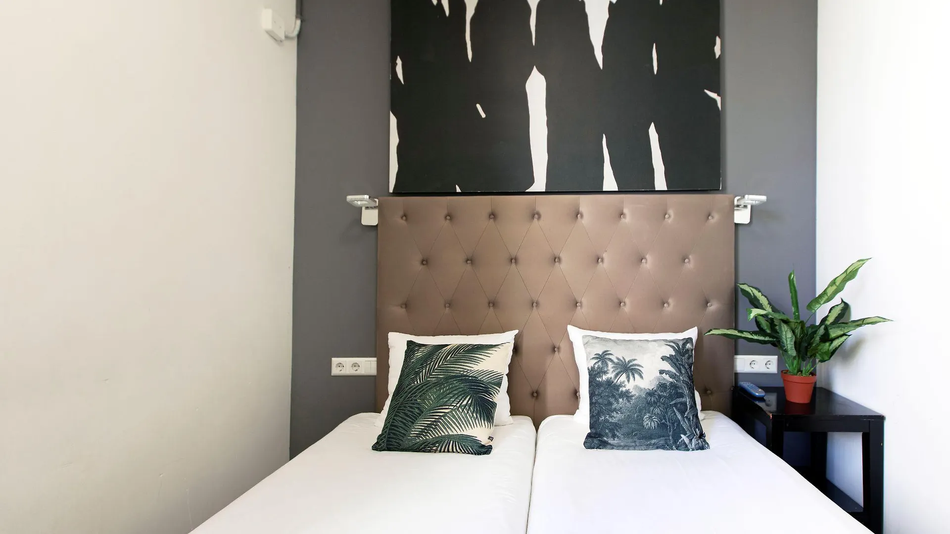 Quentin Golden Bear Hotel Amsterdam Netherlands